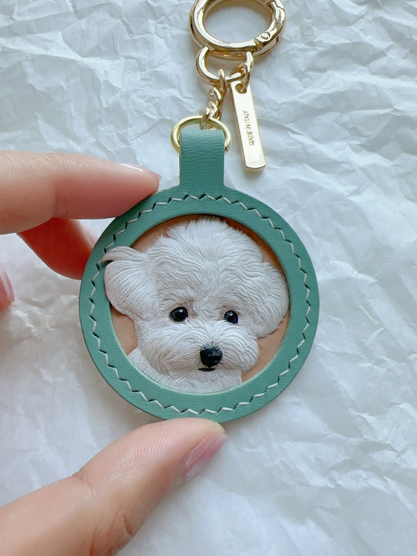 Small round dog portrait